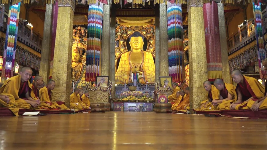 སྤུ་ན་ཁ་གི་ཚེས་བཅུ་གི་སྐོར་ལས་ མི་ལེ་ཤ་ཅིག་གིས་རང་ མི་ཤེས་དོ་ཡོདཔ།