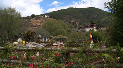 Royal-Bhutan-Flower-Exhibition-1