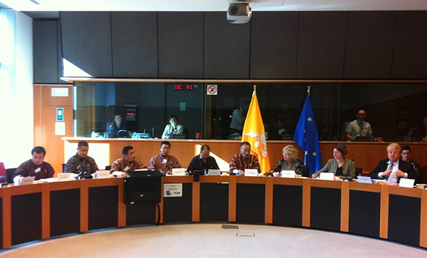 Chairperson of European Parliament delegation & members of European Parliament-