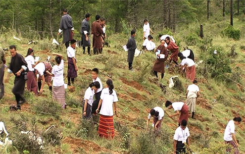 Scores of youth take part in tree plantation
