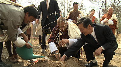 Agriculture ministry receives 12 cherry saplings from Japan--