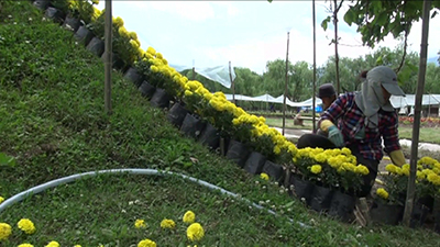 Royal Bhutan Flower Exhibition to start from June 4--