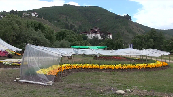Royal Bhutan Flower Exhibition to start from June 4