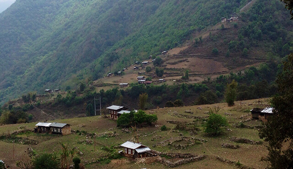 Few villagers of Samdrup Jongkhar still into marijuana smuggling