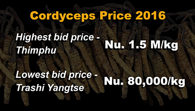 Cordyceps collection increases by almost two-fold--