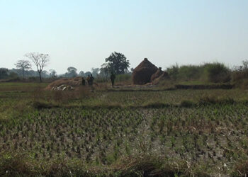 Armed men abduct 14-year-old from Gelegphu