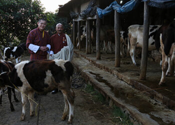 More than 9,000 Samdrup Jongkharpas get land Kidu