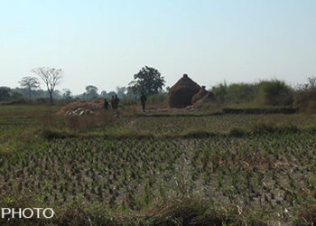 Whereabouts of those abducted still not known