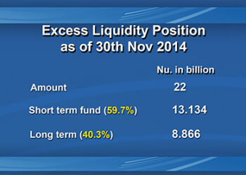 There is no excess liquidity: government