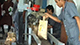 Two couples die in accident