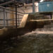 Drinking water straight from tap not safe