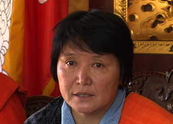 Women quota in politics needs to be understood properly: Lyonpo Dorji Choden