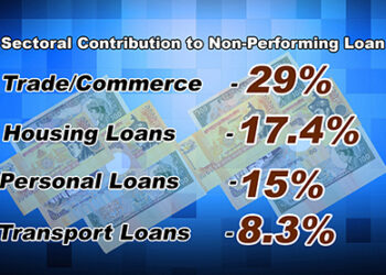 Non-Performing loan at Nu 7.6B