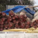 Gyalpoizhing Forest Range intercepts illegal sandalwood