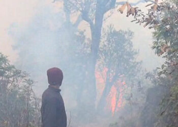 Forest fire in Pema Gatshel spreading towards settlement area