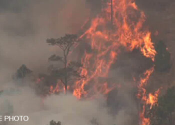 Fire in Monggar destroys acres of forest