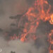 Fire in Monggar destroys acres of forest
