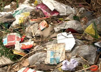 Lingzhi and Soe request for experienced health workers