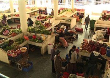 Bhutan gearing towards commercial farming