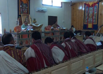 Harvesting raw materials for Dapa production must be stopped, say local leaders of Wangdue