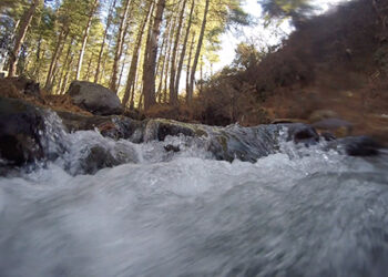 Water-borne diseases on decline in Bumthang