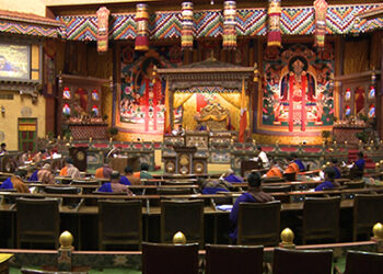 Processing plant will involve no killing of animals: Government