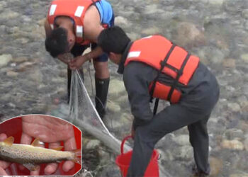 Bhutan’s fish species to be recorded