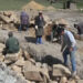 Bumthang to have the largest Jangchub Chorten
