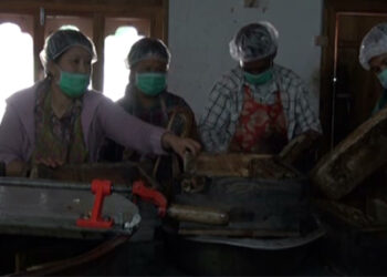 A lucrative business of beekeeping