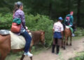 Taktsang Zhenta Detsuen’s positive impact