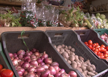 Inflation continues to drop