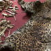 Men deny killing leopard for trade