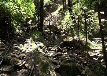 Road construction affects water source