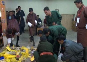 Cordyceps collection decreases