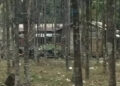 Gelegphu Thromde proposes reduction of buffer zone