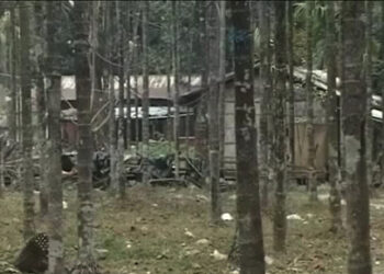 Gelegphu Thromde proposes reduction of buffer zone