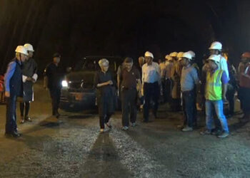 India does not have surplus power: Sujata Mehta