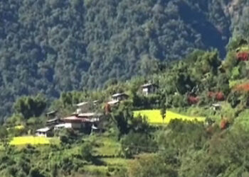 Zhemgang yet to decide on Dakphel-Trong merger