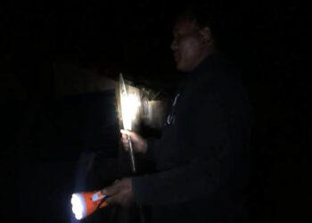 Himalayan black bear causes sleepless nights in Rukubji