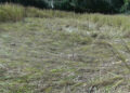 Farmers worry about their only source of income