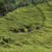 Nu 24M worth crops damaged by hailstorm across country
