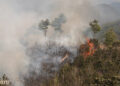 Drastic decline in forest fire incidences