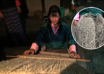 Nettle fabric to hit the market