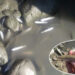 Scores of fish turn up dead in Dungsamchu