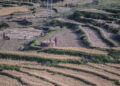 Agriculture sector no longer the highest emitter of Green House Gas