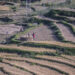 Agriculture sector no longer the highest emitter of Green House Gas