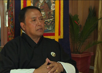 Monetary policy regulations to curb excessive car import?