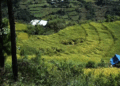 Feeling the impact of climate change