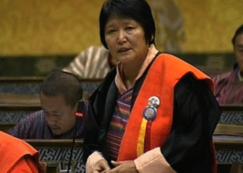 Nu 2 B set aside for Dzongkhag Thromde activities