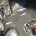 Death of hundreds of fish still a mystery